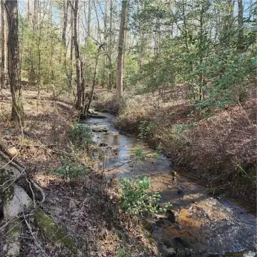 Ellijay Land with Lake Frontage