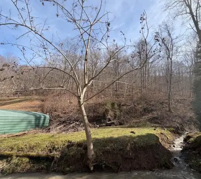 60 Acres Land For Sale