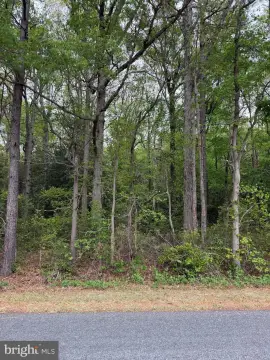 Residential Land in Houston, DE