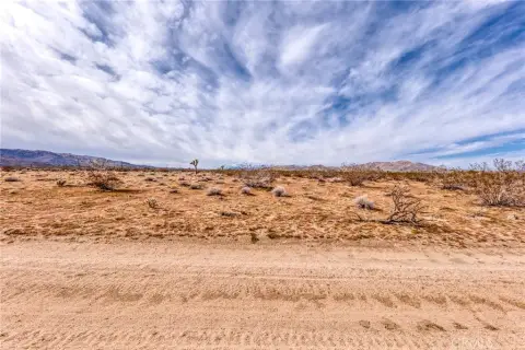 Joshua Tree Buildable Land Parcel
