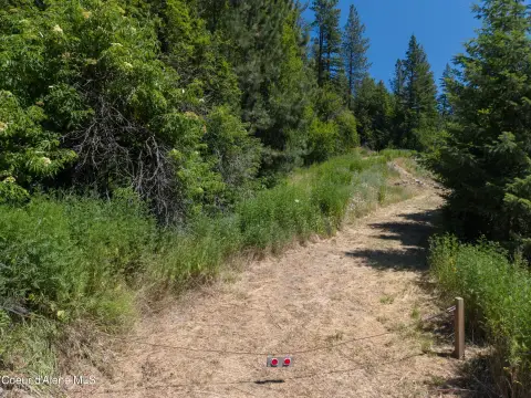 Residential Retreat Land with Cabin
