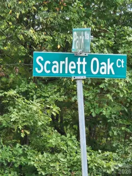 Wooded Lot in Lenoir City