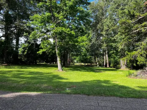 Shaded Lot in Many, LA