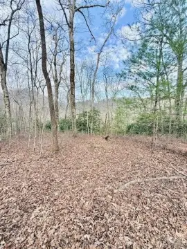 Residential Lot in Stecoah Valley