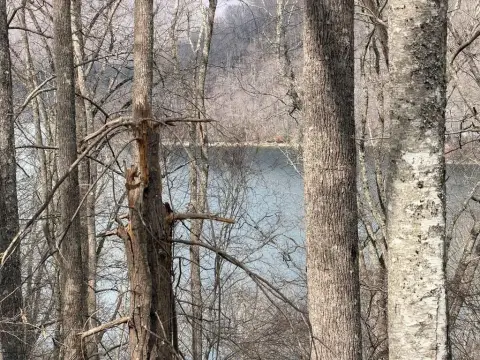 Lake & Mountain View Lot