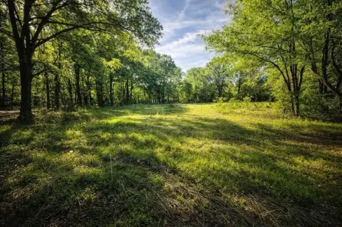 Shreveport Land with Residential History