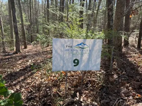 Wooded Lot Near Murphy, NC