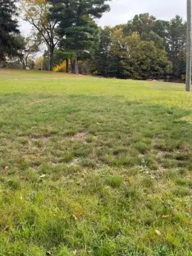 Commercial Land with Billboard
