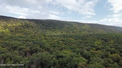 Recreational Hunting Land Tract