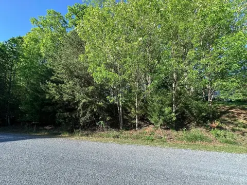 Wooded Lot Near Bedford Town