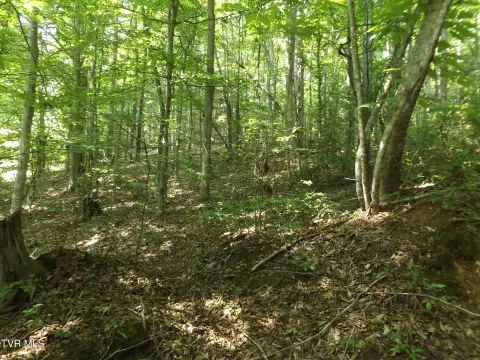 Secluded Wooded Land Near Attractions