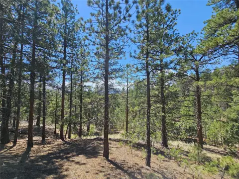 Recreational Land Parcel
