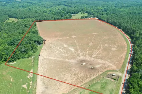 Build-Ready Pasture Acreage with Road Access