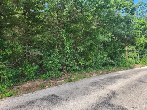 Wooded Lot Near Eagle Rock