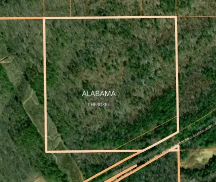 Wooded Recreational Land