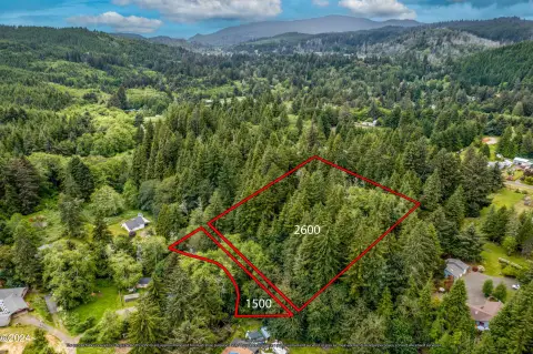 Bear Creek Frontage Forest Acreage