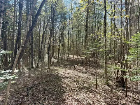 Piseco Vacant Land Near Trail