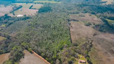 75 Acres Heavily Wooded Land