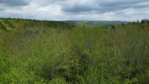 Residential Land Parcel