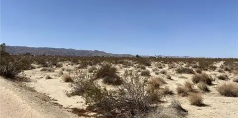 Tecopa Land with Mountain Views