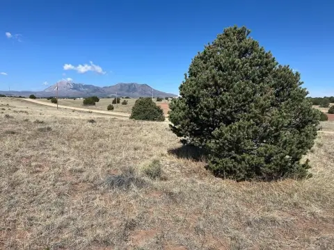 Southern Colorado Foothills Land