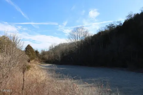 Secluded Wooded Acreage with Creek