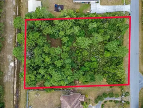 Spacious Homesite in Wedgefield, Orlando