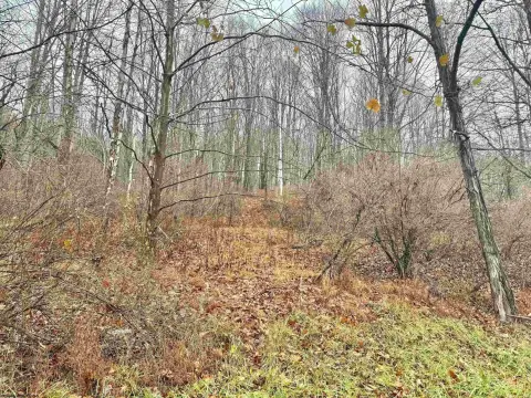 Roanoke Residential Land For Sale