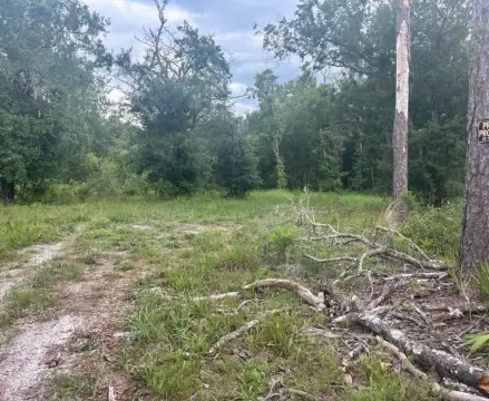 Land in Dunnellon, Florida