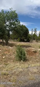 Commercial Development Lot