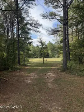 Residential Land in Jackson, TN
