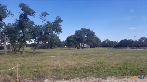 Residential Land in Inez, TX