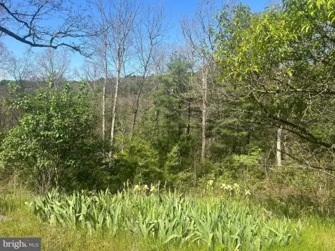 Berkeley Springs Land with Utilities