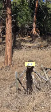 Whitehall Land with Mountain Views