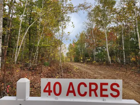 Buckfield Land Near Village