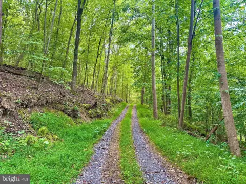 Wooded Land with Hunt Camp