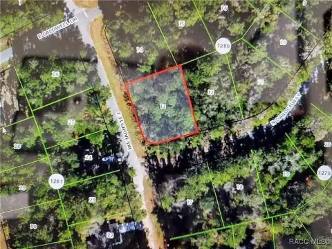 Vacant Land in Citrus Springs