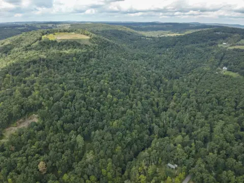 Wooded Hunting Land with Camp