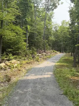Wooded Waterfront Land