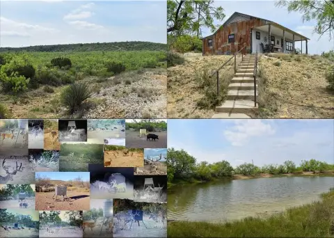 Voss Farm/Ranch with Panoramic Views