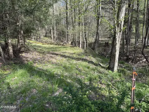 Secluded 3.5-Acre Residential Land Parcel