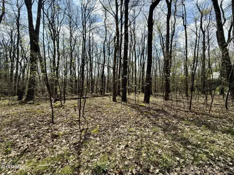Residential Lot in Allegheny Mountains