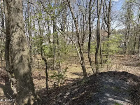 Residential Land in Portage, PA