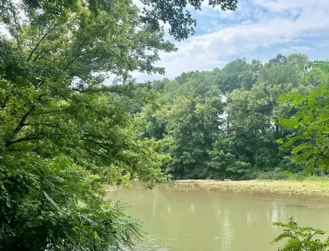 Waterfront Land with Walk-Up Access