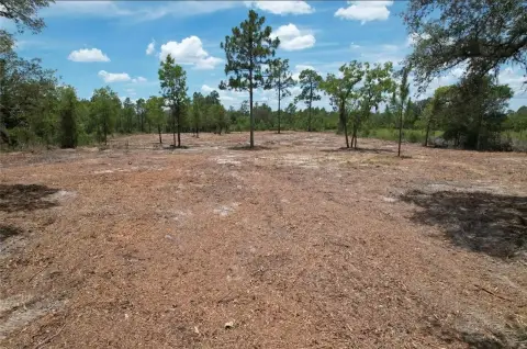 Cleared Vacant Land Parcels