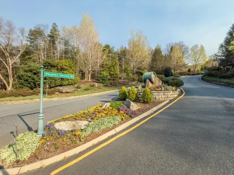 Residential Lot in Landrum, SC