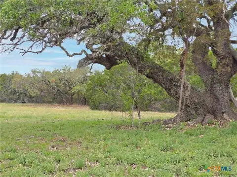 Texas Hill Country Acreage