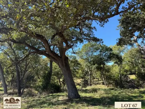 Springtown Land with Towering Oaks