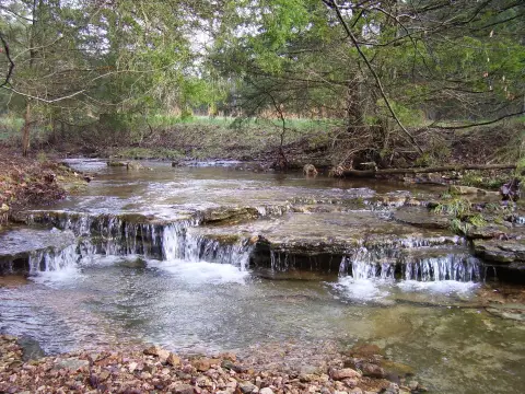 Barry County Land Opportunity
