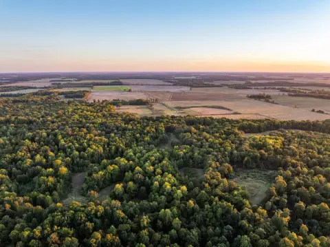Hunting Land with Wildlife Habitat